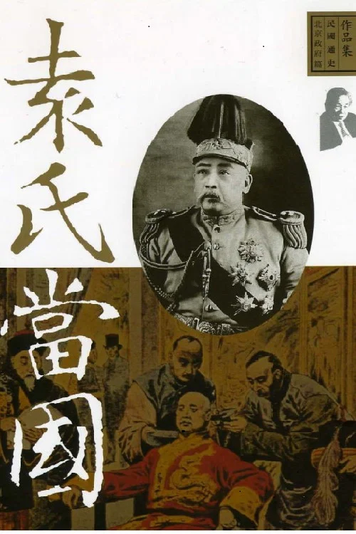 袁氏当国 постер