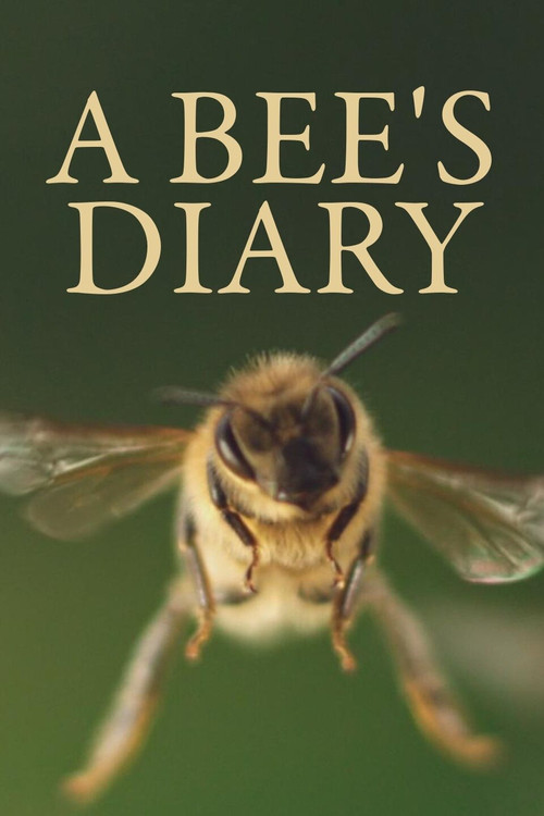 A Bee's Diary постер