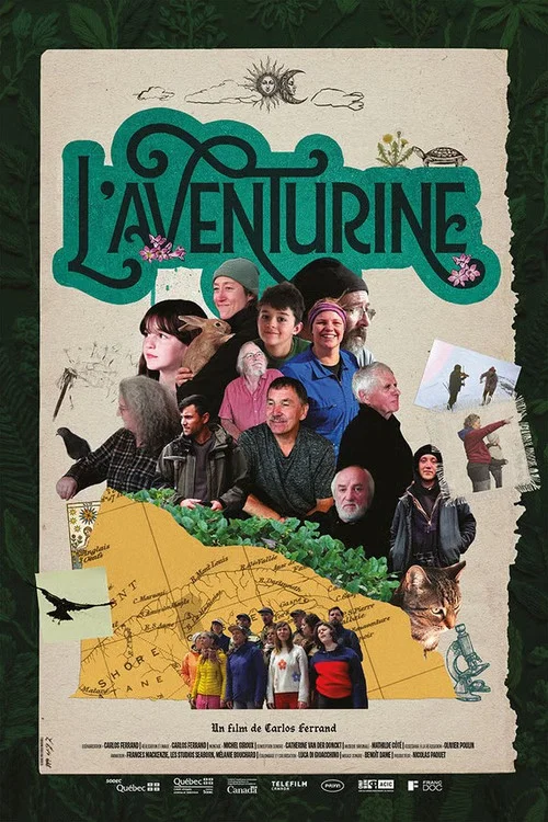 L'aventurine постер