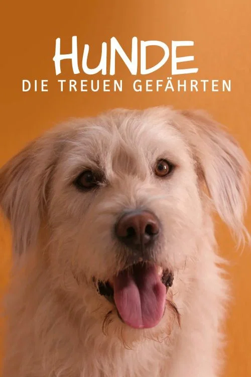 Une vie de chien постер