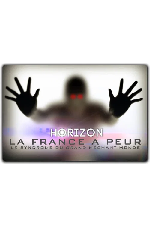 La France a peur: le syndrome du grand méchant monde постер