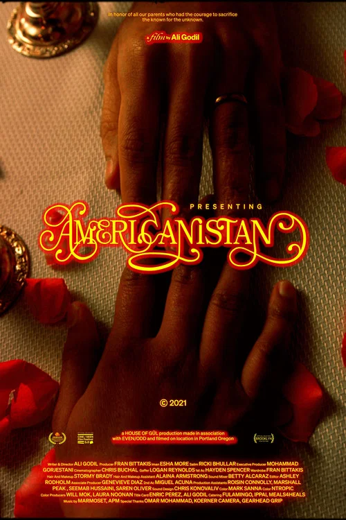 Americanistan постер