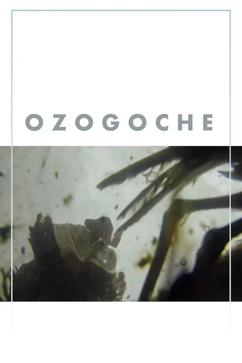 Ozogoche постер