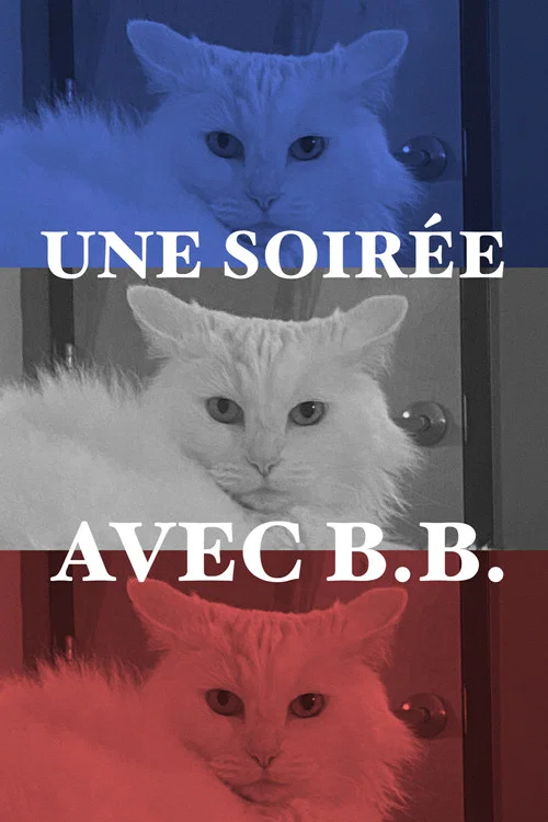 Une soirée avec B.B. постер