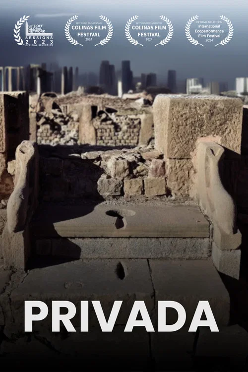 Privada постер