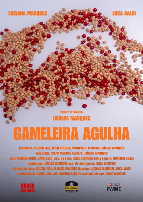 Gameleira Agulha постер