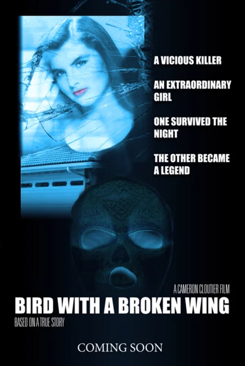 Bird with a broken wing постер