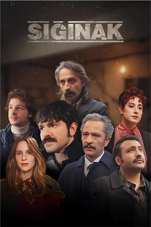 Sığınak постер