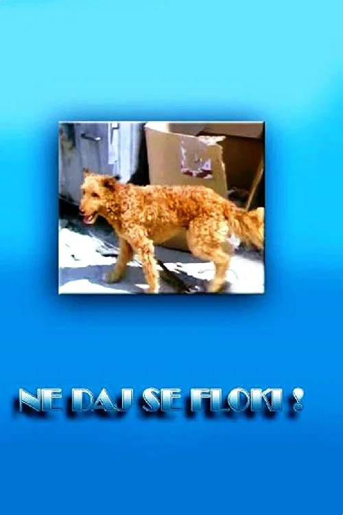 Ne daj se, Floki! постер