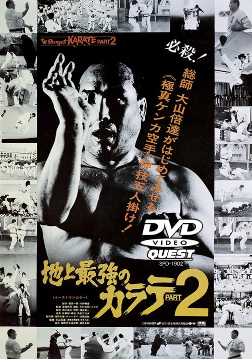 Chijo saikyo no karate 2 постер
