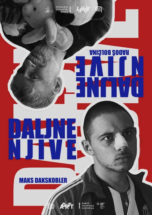 Daljne njive постер