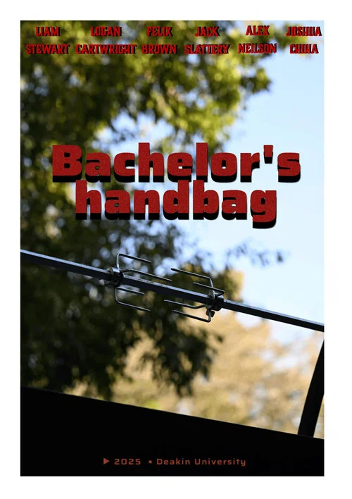 Bachelors Handbag постер