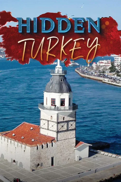 Hidden Turkey постер