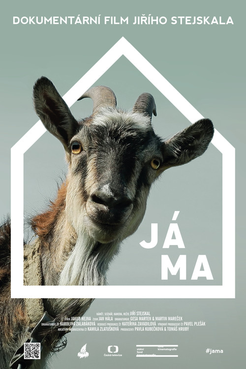 Jáma постер