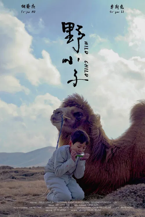 野小子 постер