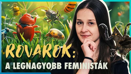 Эпизод 3