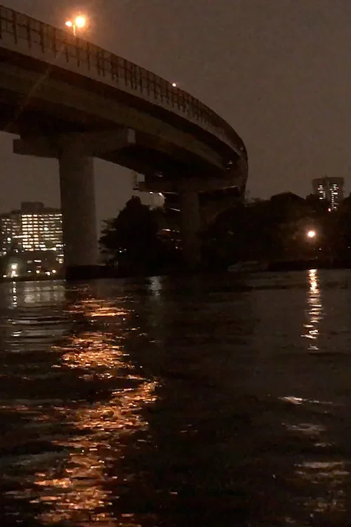 Night Cruise постер