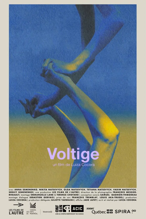 Voltige постер