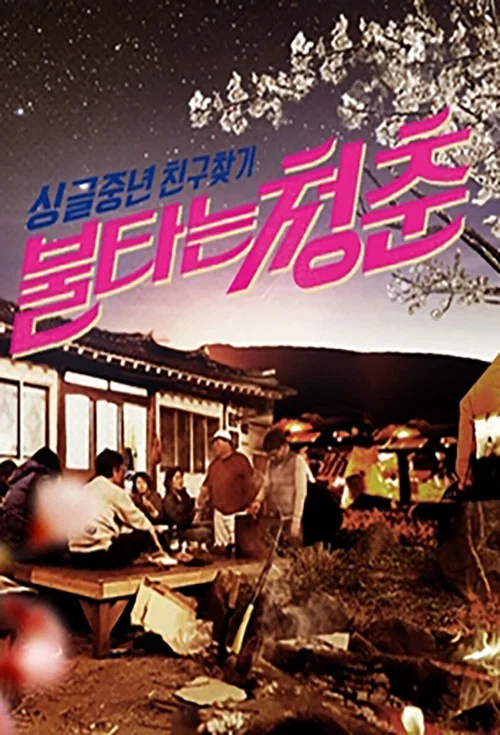불타는 청춘 постер