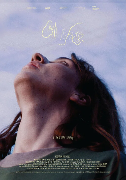 Call it Fate постер