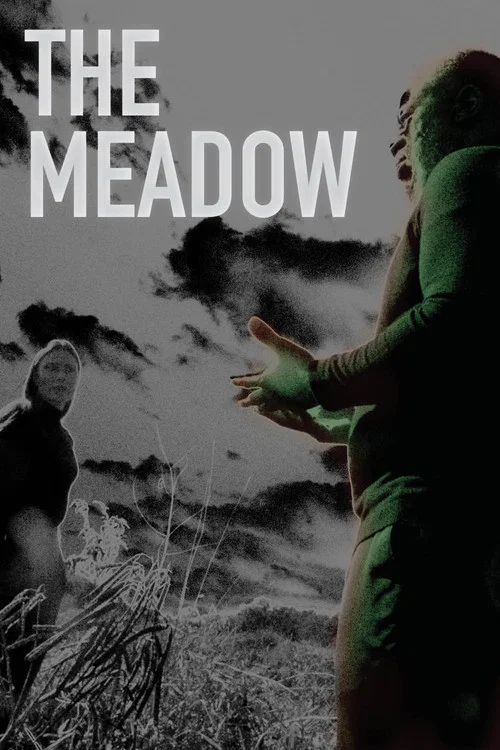 The Meadow постер