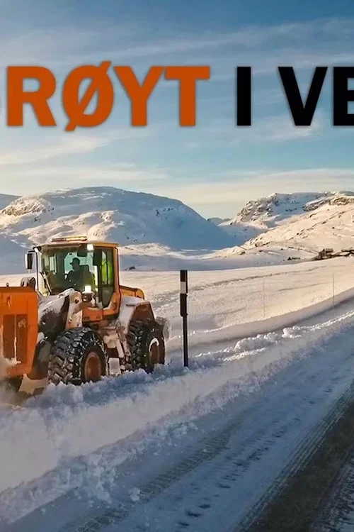 Brøyt i vei постер