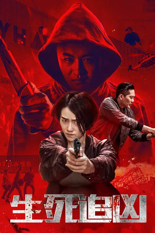 生死追凶 постер