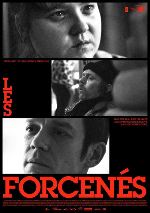 Les forcenés постер