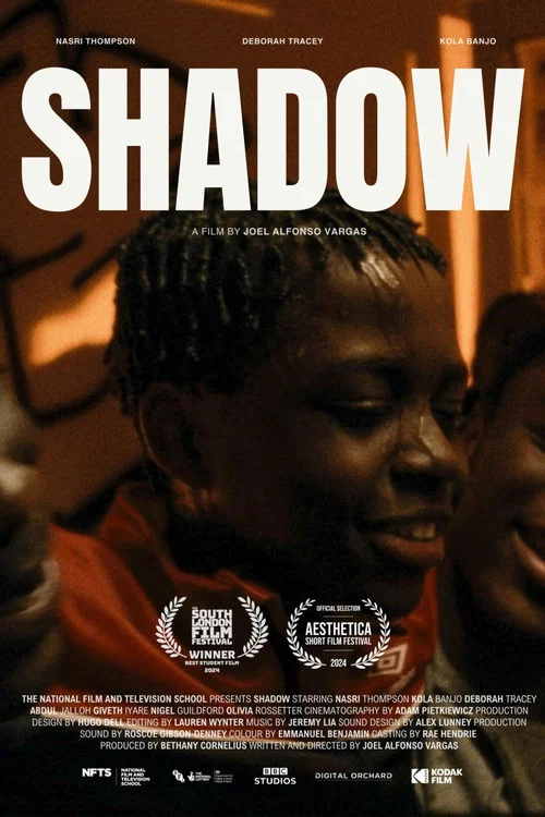 Shadow постер