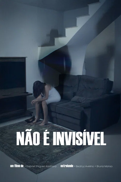 Não é Invisível постер