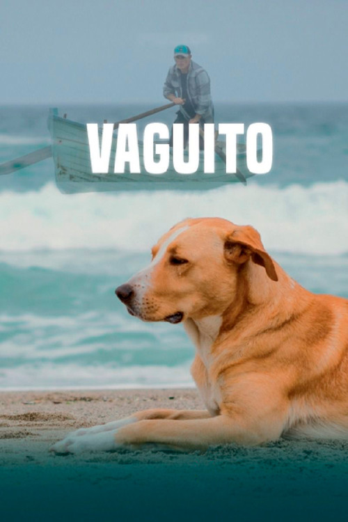 Vaguito постер