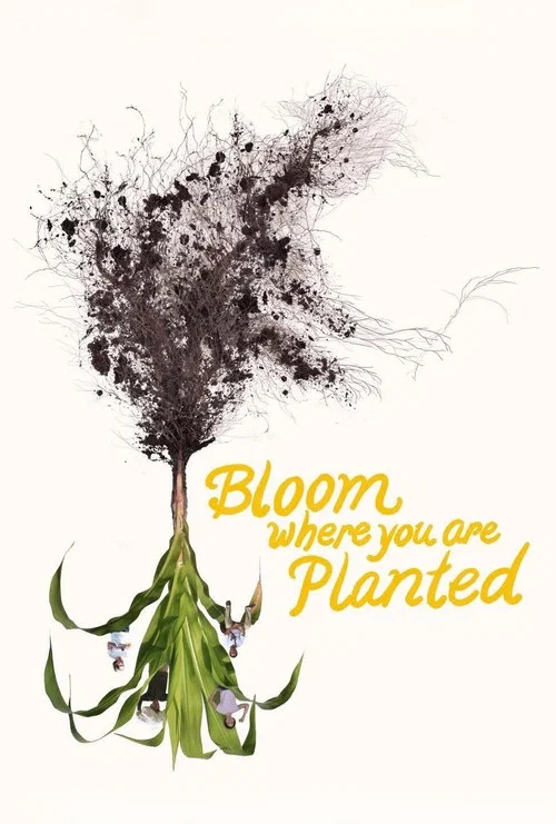Bloom Where You Are Planted постер