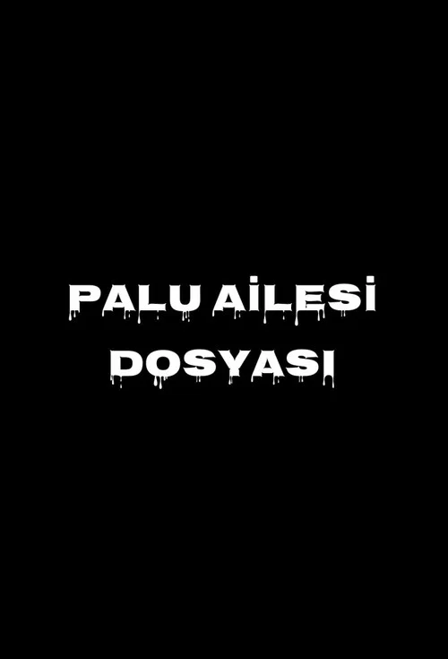 Palu Ailesi Dosyası постер