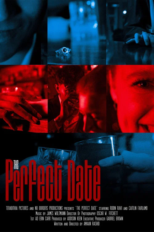 The Perfect Date постер