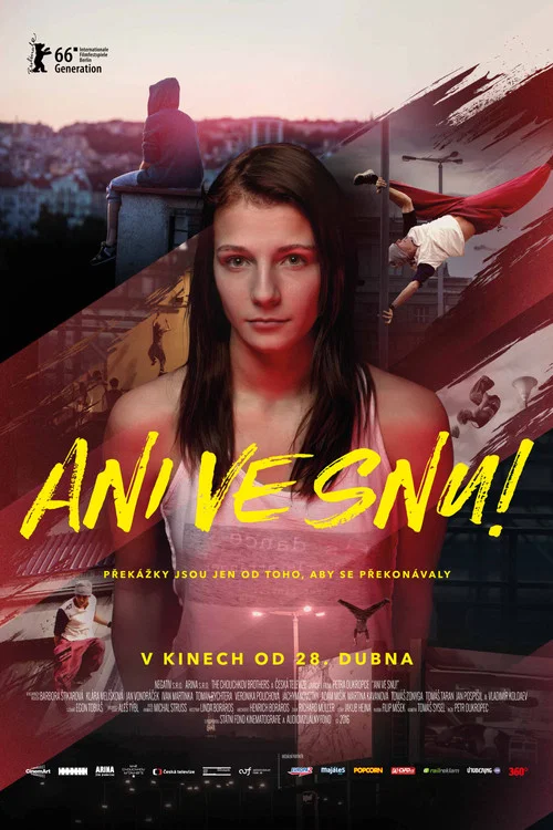 Ani ve snu! постер