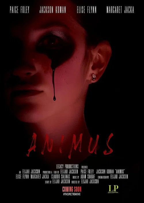 Animus постер