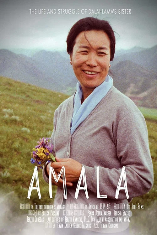 Amala постер