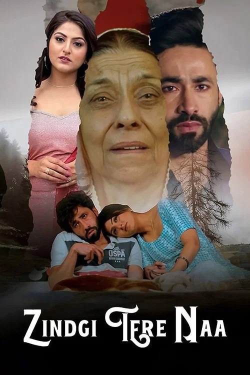 Zindgi Tere Naa постер