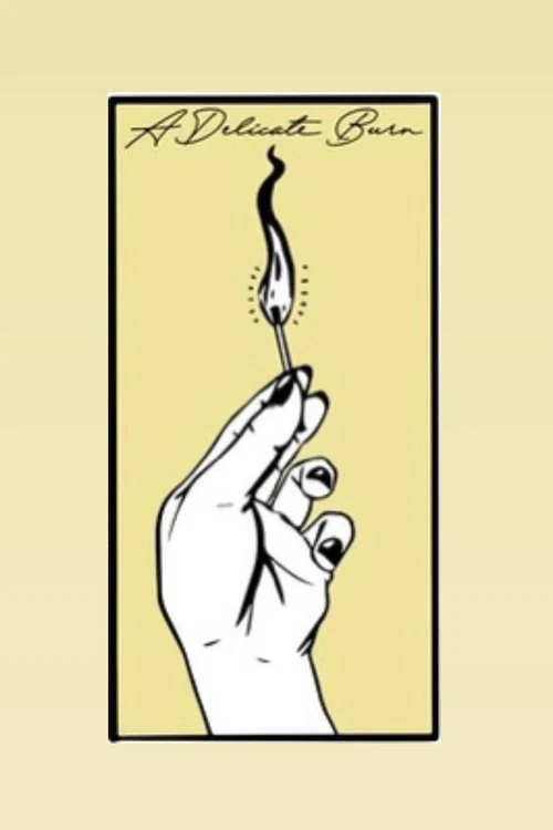 A Delicate Burn постер