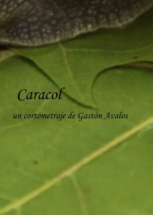 Caracol постер