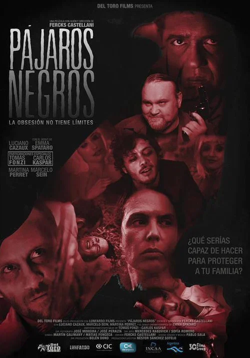 Pájaros negros постер