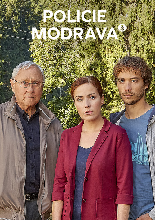 Policie Modrava постер