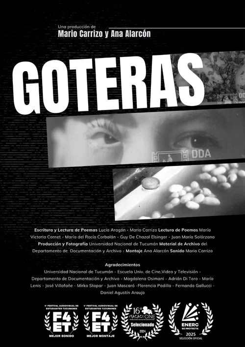 Goteras постер