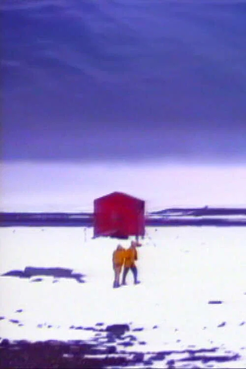 Voyage d'hiver постер
