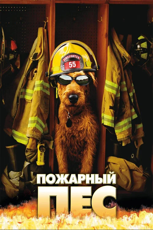 Пожарный пёс постер