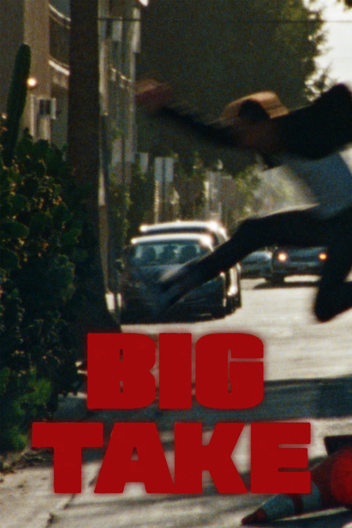 Big Take постер