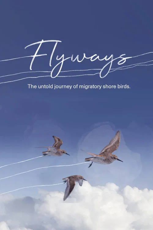 Flyways: The Untold Journey of Migratory Shorebirds постер