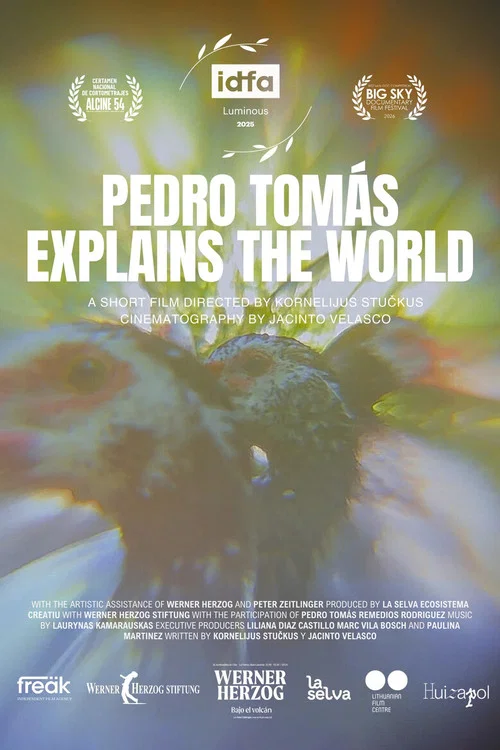 Pedro Tomás Explica El Mundo постер