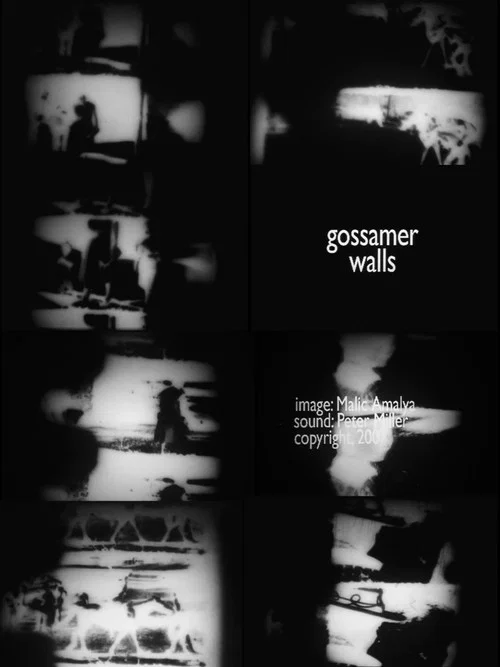 Gossamer Walls постер