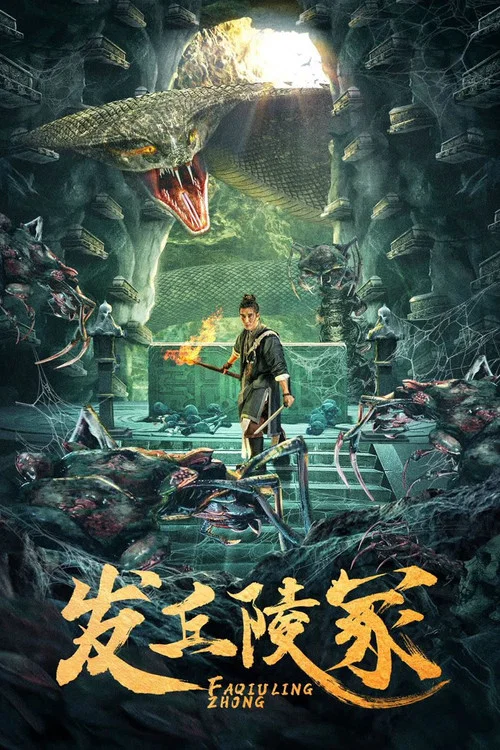 发丘陵冢 постер
